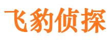 江西市私家侦探